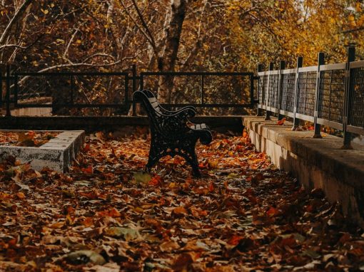 Autumn in Prison Poem by Connie Leung