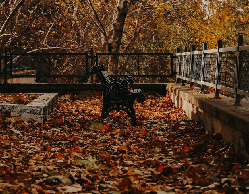 Autumn in Prison Poem by Connie Leung